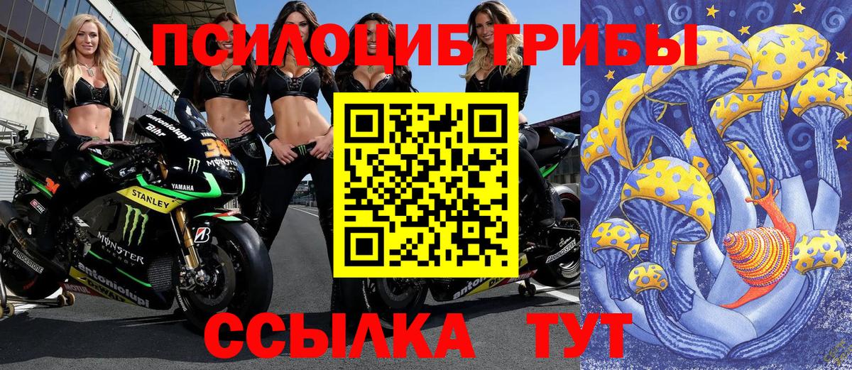 Псилоцибиновые грибы MAGIC MUSHROOMS  Вход с VPN  Гуково 