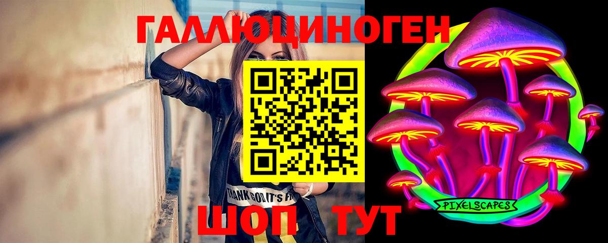 Галлюциногенные грибы прущие грибы Гуково